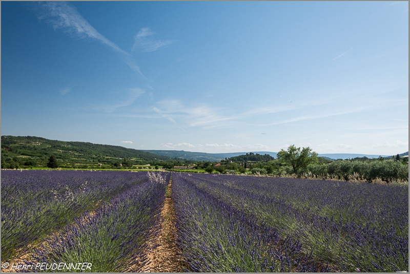 Lavandes_Provence_B16_1735_RC.jpg