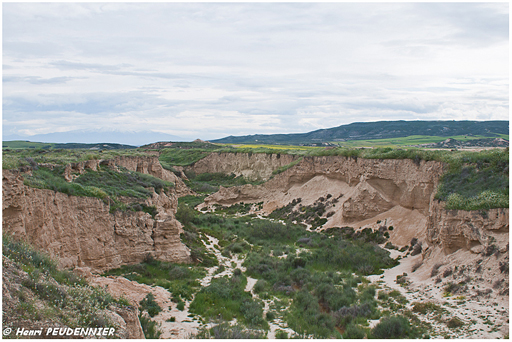 Les Bardenas_A13_2319_RC.JPG