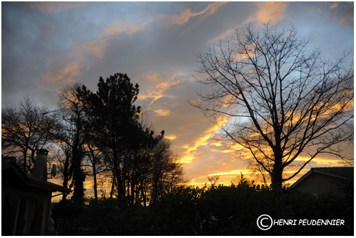 Matin landais 11_0001.jpg