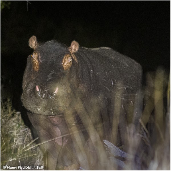 523_0961Analog Efex Pro 2_RC.jpg